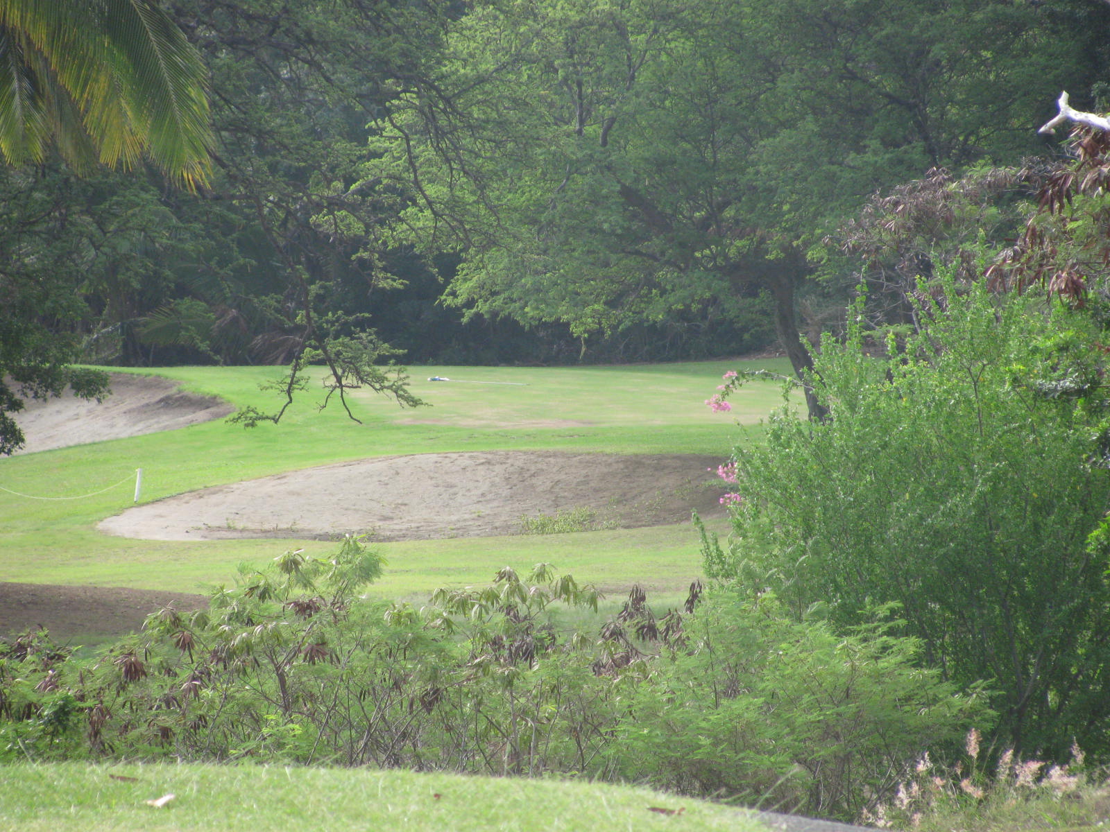 My Slice of Golf (John B) Sea Mountain Resort, Punaluu Big island Hawaii
