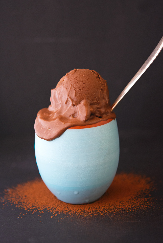 Fudgy Cocoa Avocado Ice-Cream