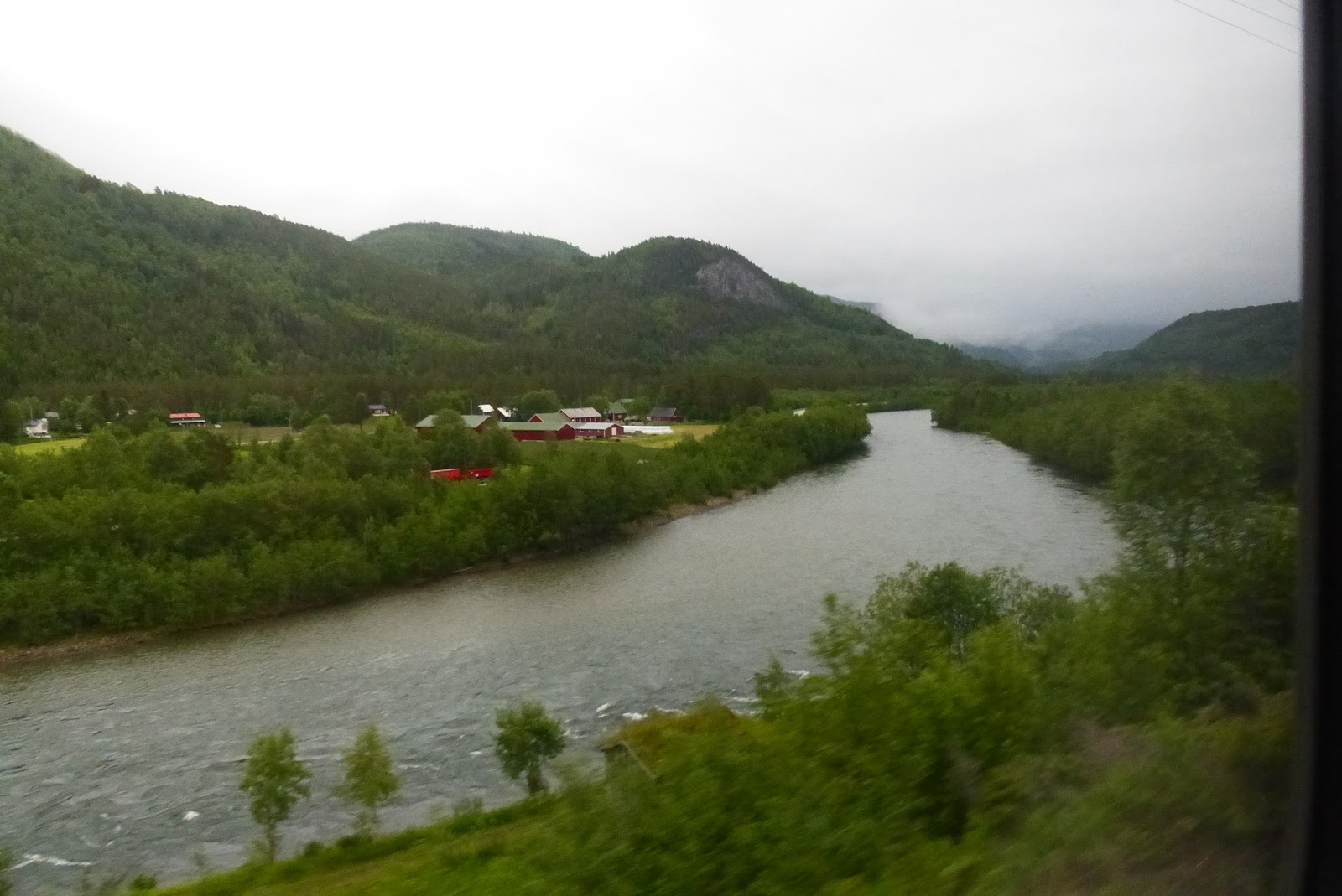 DIA 10º:  MIERCOLES 08/07: VUELOS HONINGSVAG-BODO - Mi viaje a Cabo norte en el Ms Lofoten (9)