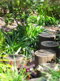  New York _Community Garden
