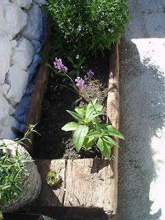 El jardín en macetas: Plantación en barriles y otros elementos del