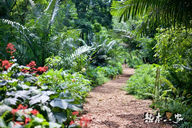 偶像劇「薰衣草」場景|花坊、蝴蝶生態區步道|飛牛牧場~唯美自然系IG景點