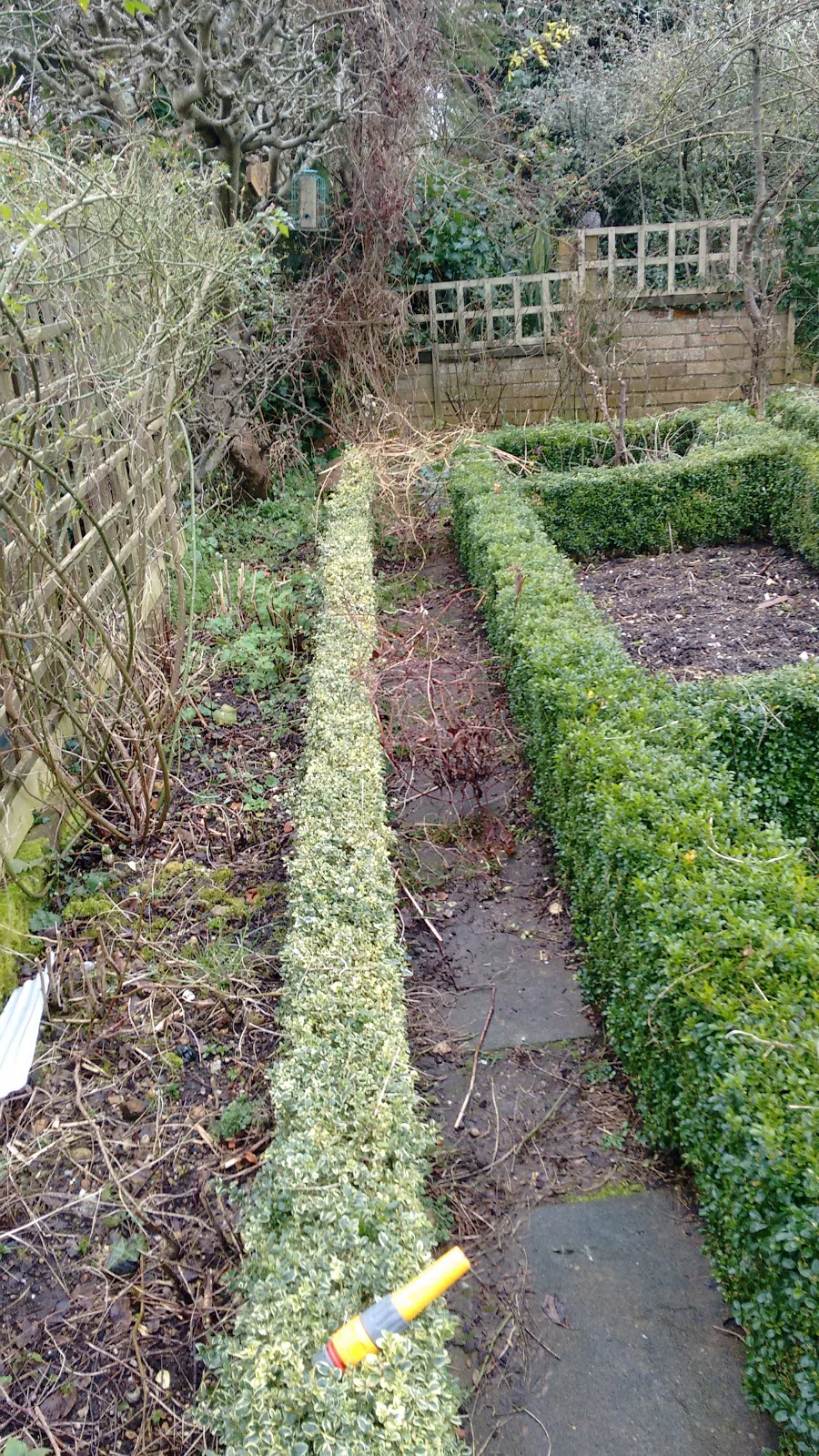 Joanne's Cottage Garden