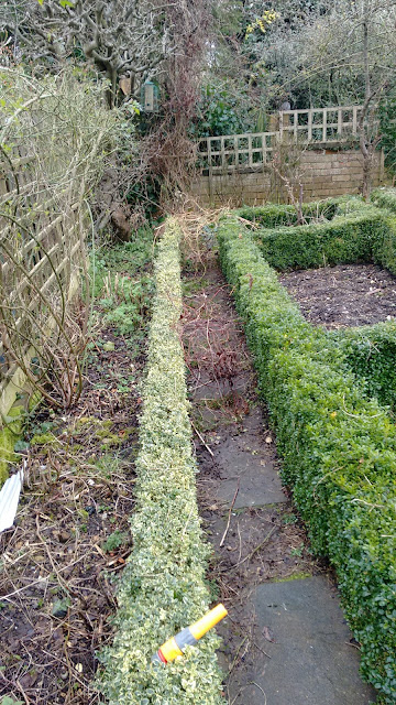 Joanne's Cottage Garden