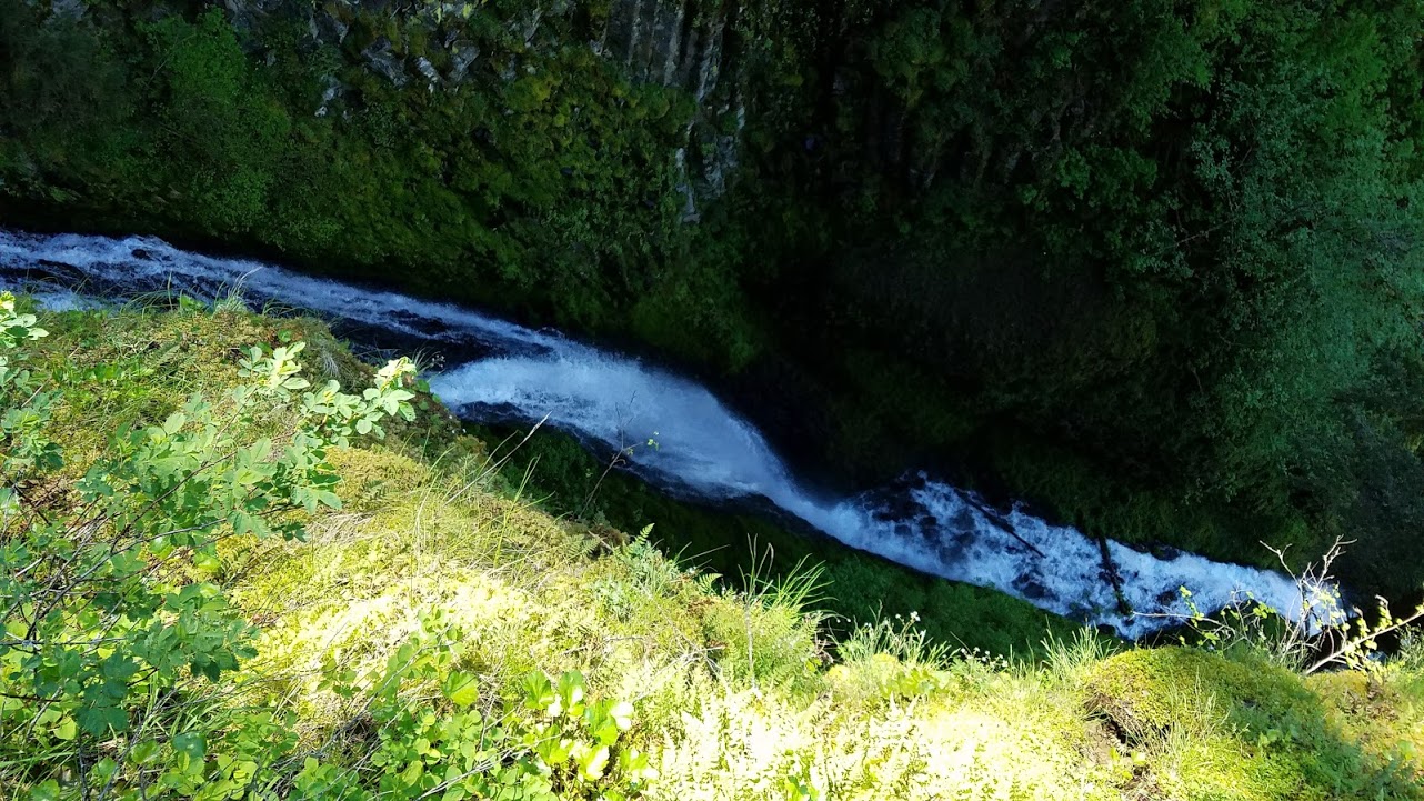 Dave Goes Outside Prancing Up The Primrose Path