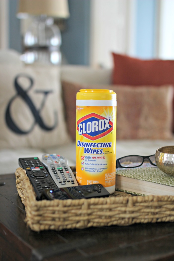 Golden Boys and Me Keeping A Clean And Germ Free Home With Three Boys, Dogs & Clorox®