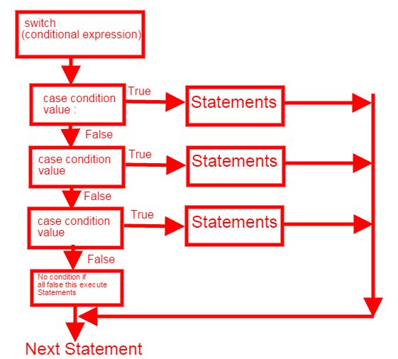 details of switch case statement