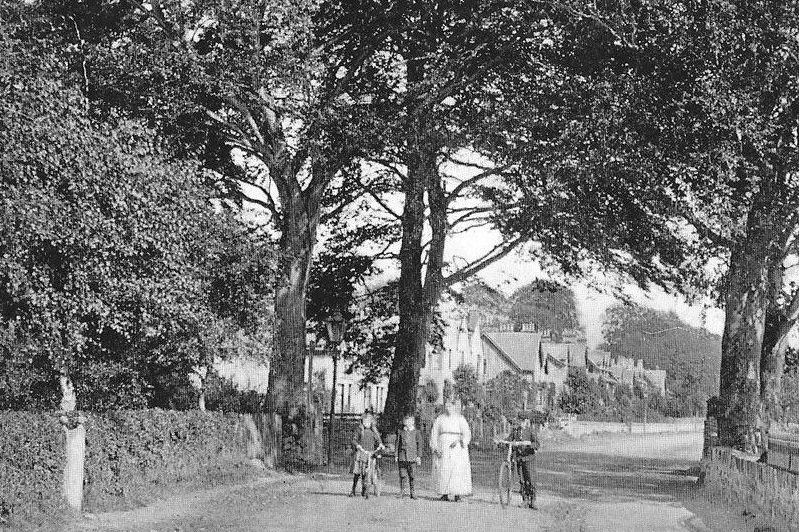Tour Scotland Old Photograph Craig Road Dingwall Scotland