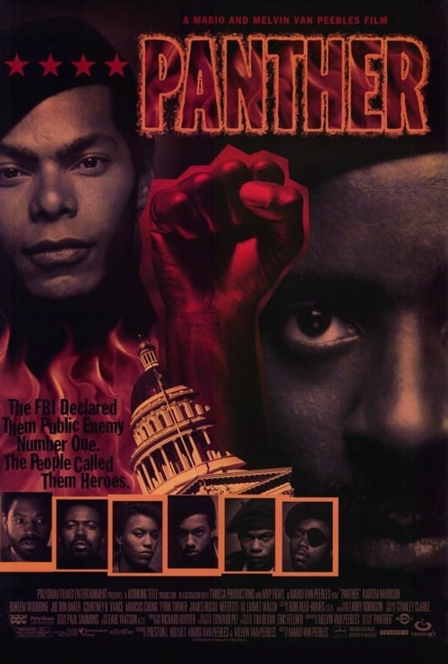 Descargar Panther 1995 Blu Ray Latino Online