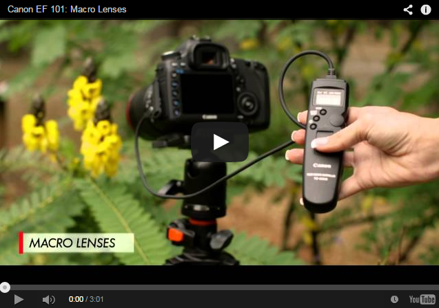 Learning more about Canon EF Lenses: Canon EF / EF-S Macro Lenses
