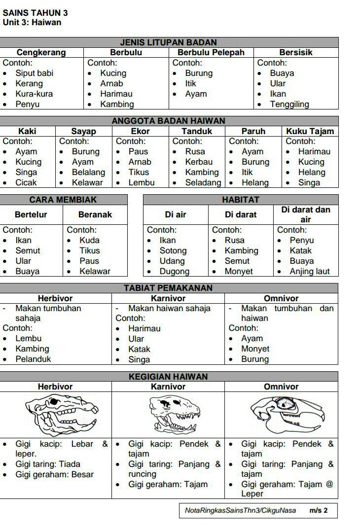 Nota Ringkas Sains Tahun 3 (KSSR) - Kickstory.net