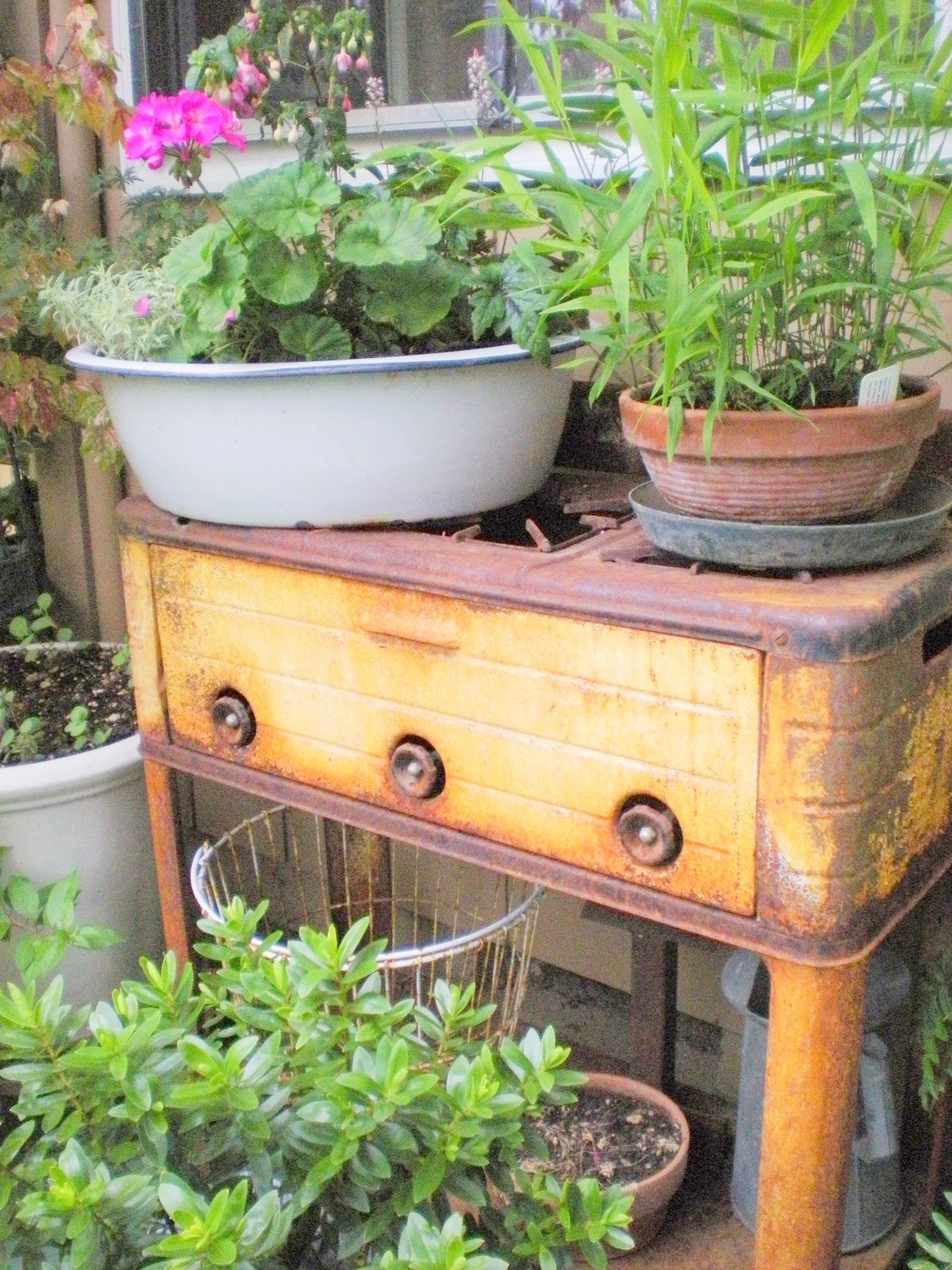 From Seeds To Success: Ariel Root Wolpe'S Gardening Journey - lj5beyz