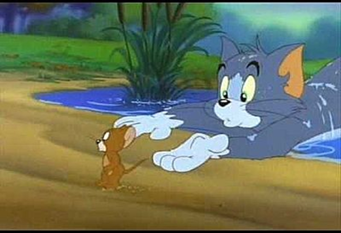 Tom And Jerry Sexvideos - Best Profile Pictures: Tom & Jerry Pictures