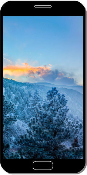 Forêt en Hiver avec Brouillard - Fond d'Écran en QHD pour Mobile