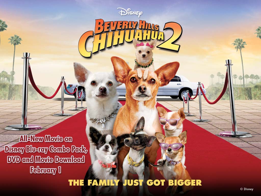 L² Movies Talk Beverly Hills Chihuahua 2