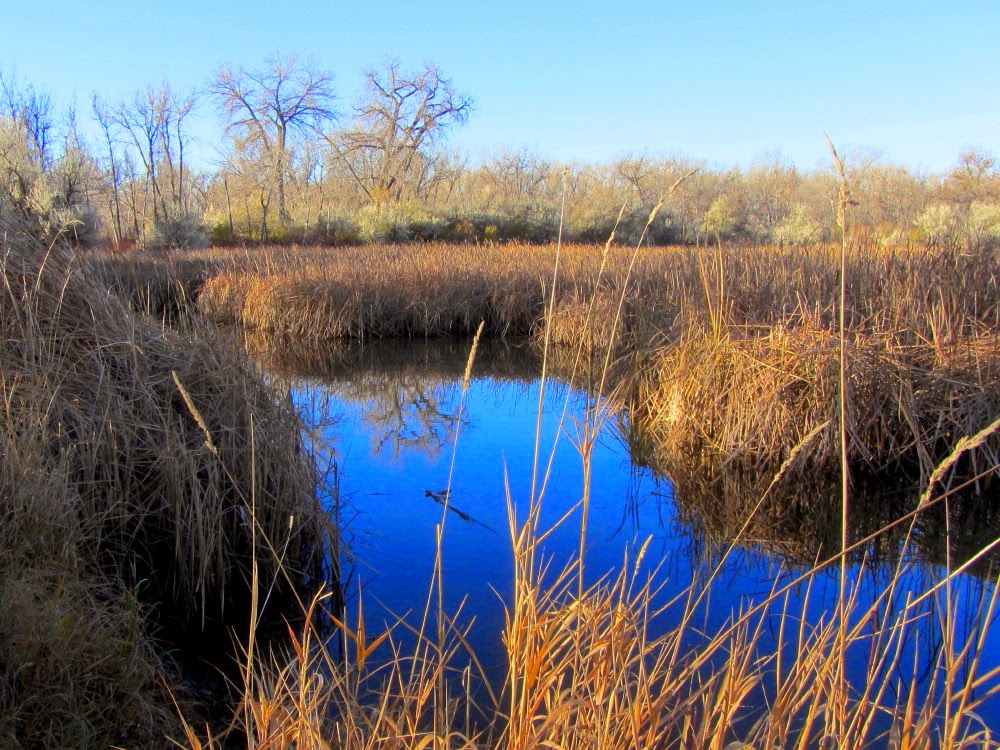 Dan's Hiking Blog Hiking in Billings, Montana November 48, 2014
