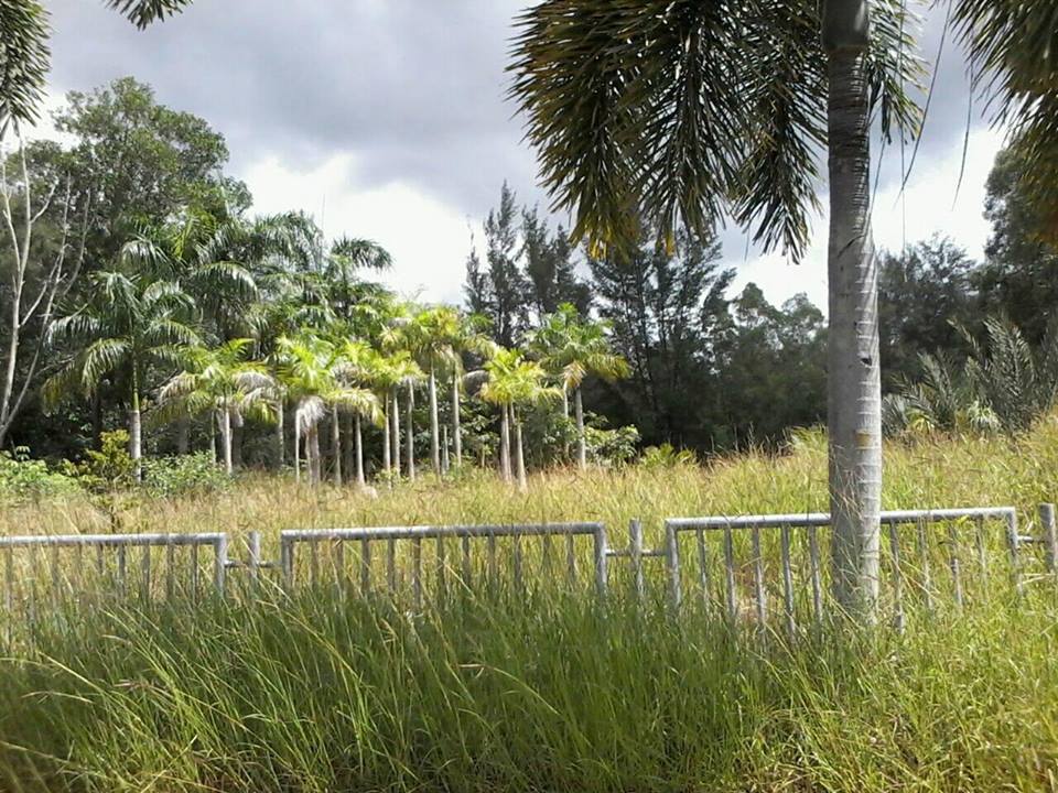 Marina Bay Miri Lagoon Land FOR SALE (Rm1.8 Million) 20 Points Miri