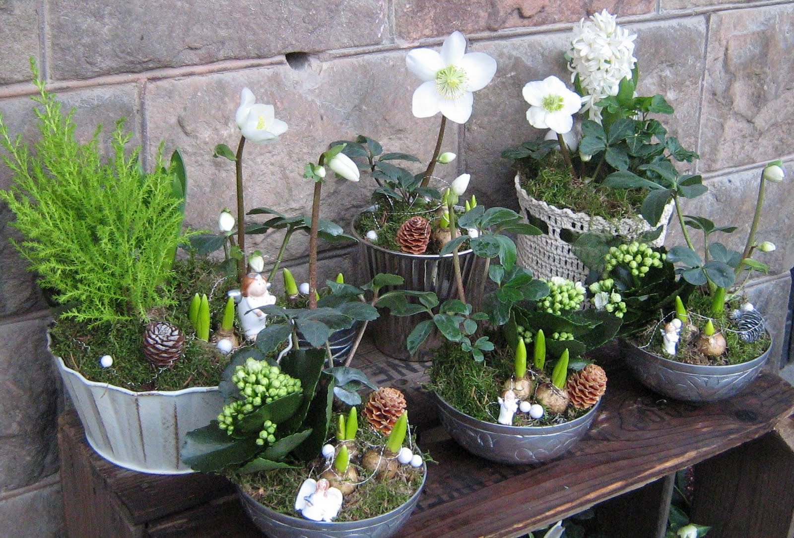 Karlssons Årstider Julblommor i vitt och grönt