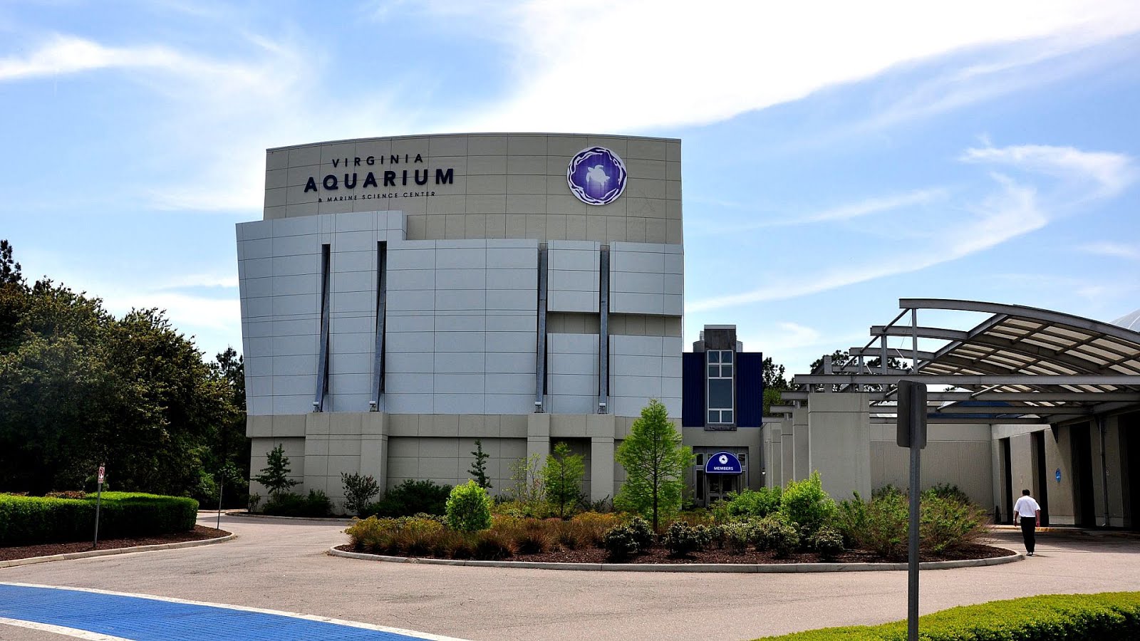 Virginia Aquarium And Marine Science Center Marine Choices
