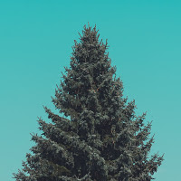http://calgaryprofessionalorganizer.blogspot.ca/2017/11/de-stressing-holidays-we-promise-its.html
