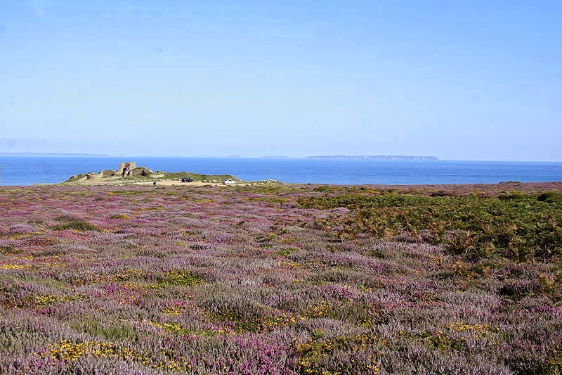 French Vocabulary Illustrated lande