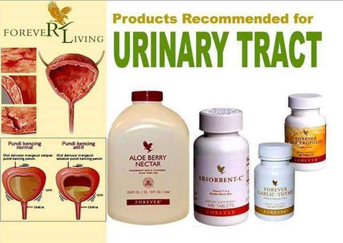 Fit n Fortune: Forever Living Products for Urinary Track ...