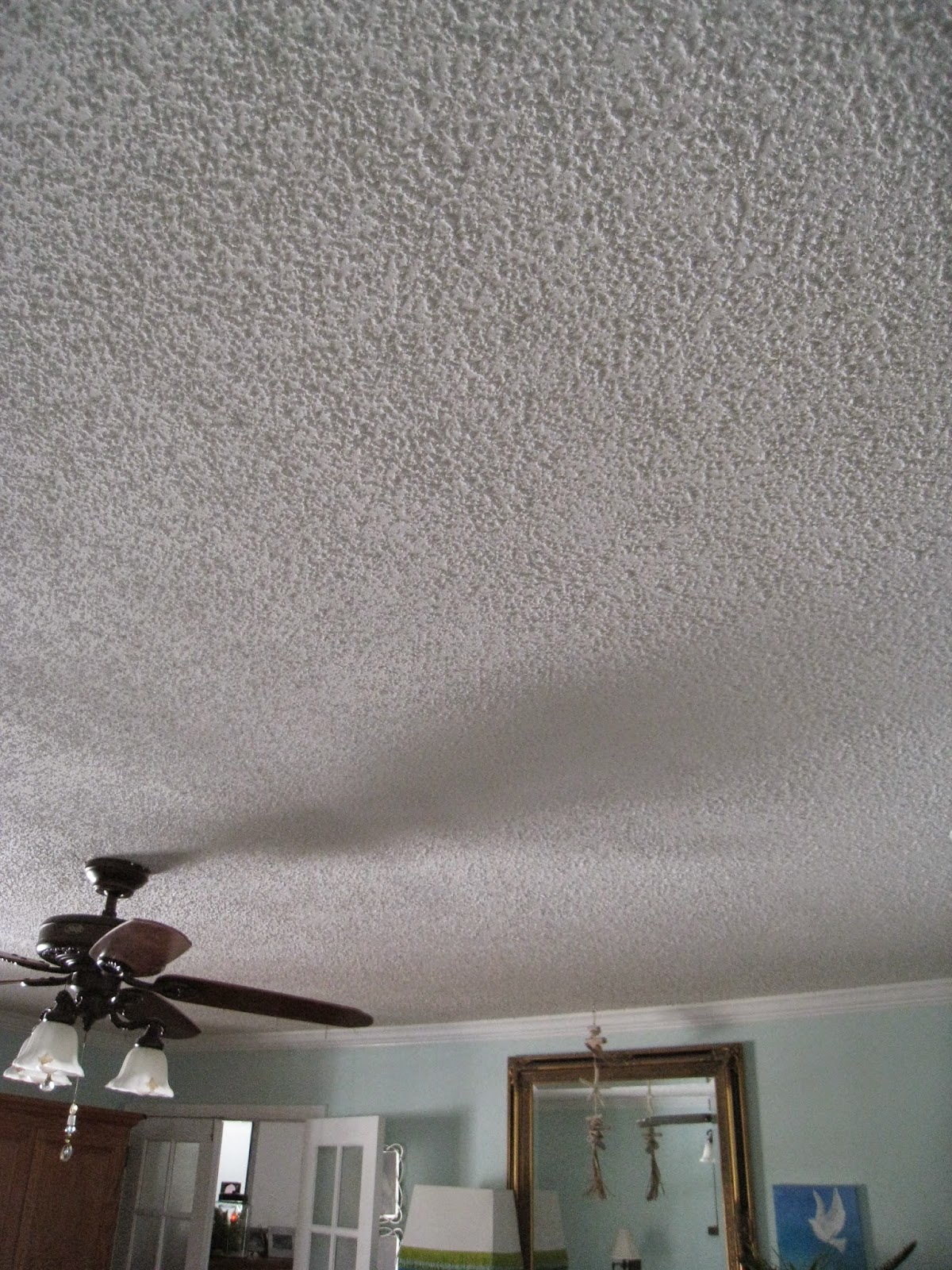 Repurposed For Life: RE-DOING ANOTHER POPCORN CEILING