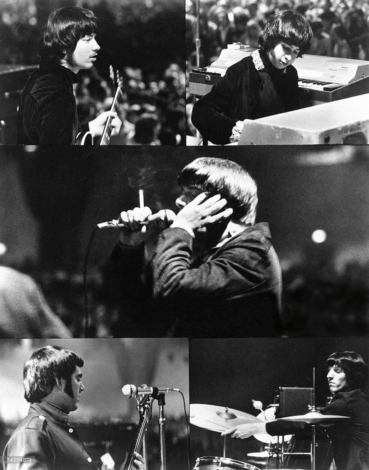 Forestdweller The Music Machine