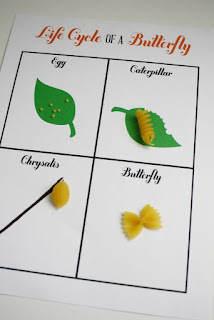 http://laurahildebrand.blogspot.com/2012/08/our-butterfly-popped.html Life Cycles- Educational Ideas and Teaching Ideas for life cycles. Anchor charts, reading, resources, and technology to help teach this science topic in first and second grade classrooms.