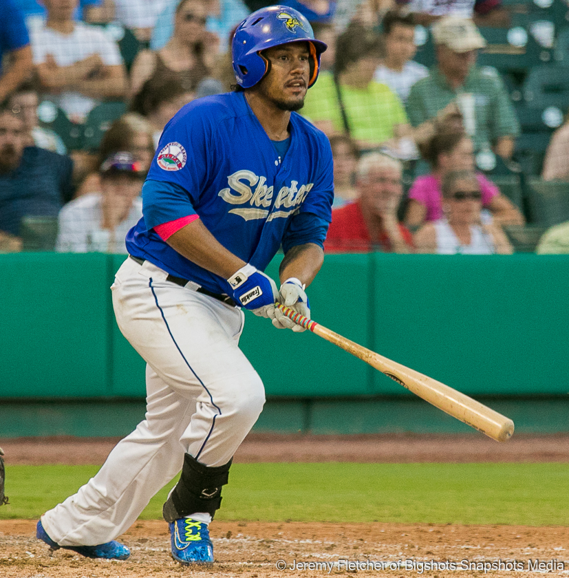sugar land skeeters shirts