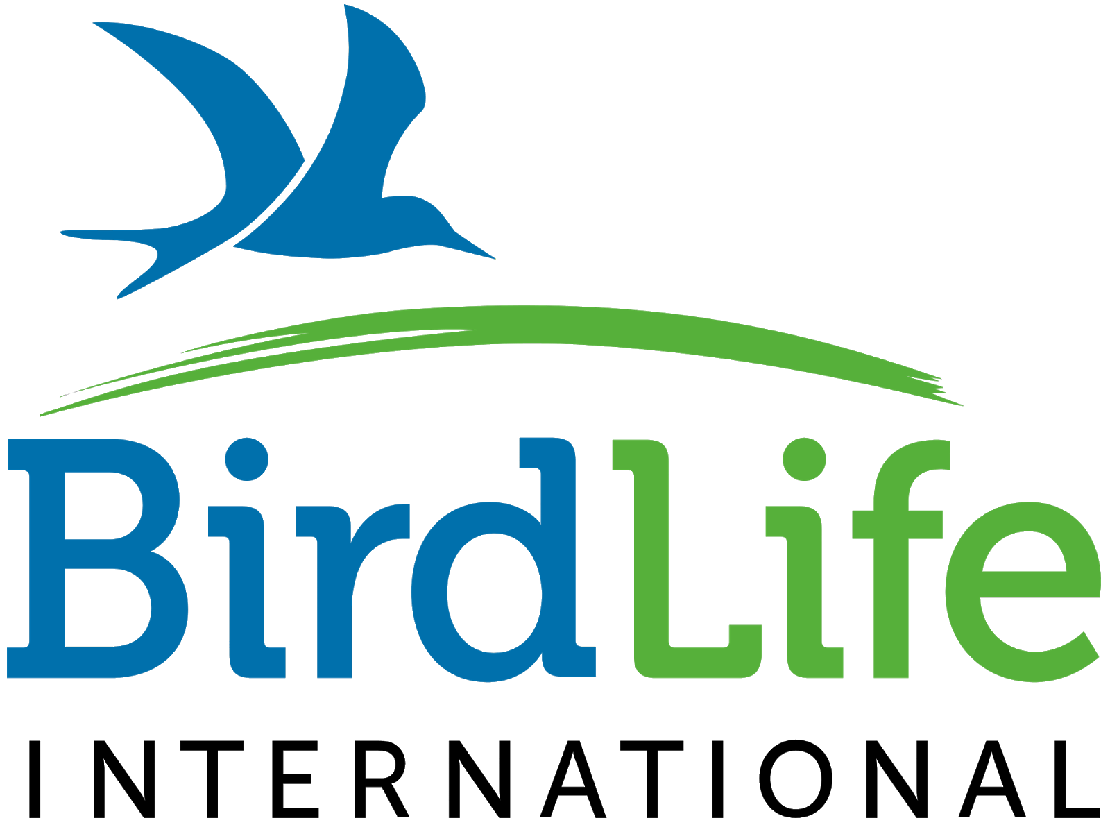 BirdLife International Job Vacancy Project Manager South East Asia