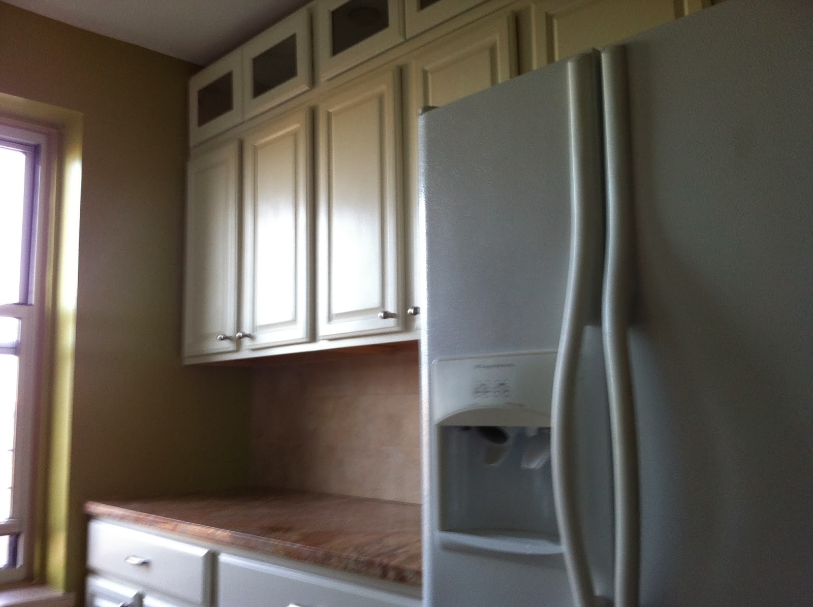 Enovation Renov8or Home Design Decor And R Cabinets With The Glass Doors Are From A Completely Diffe Line Of Cabinetry Than Lower And I Think Canvas Color Looks Great