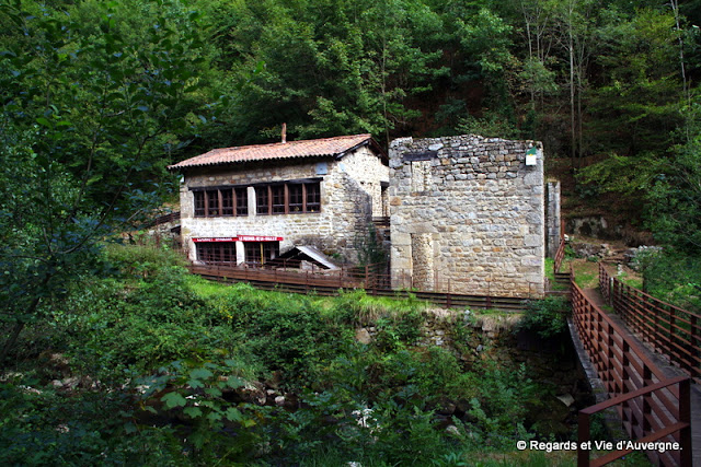 La vallée des Rouets, Thiers, Auvergne.