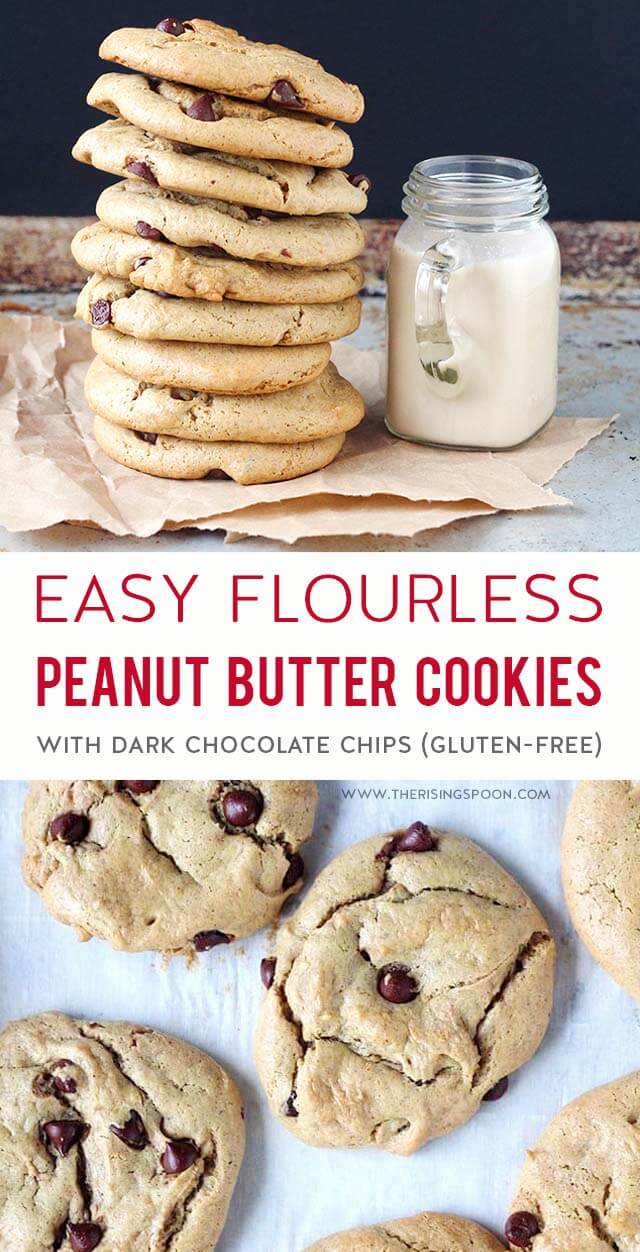 Easy flourless peanut butter cookies studded with dark chocolate chips and sweetened with maple syrup. They're packed with peanut butter flavor and have an irresistibly soft texture that sets them apart from other classic peanut butter cookie recipes. Grab a mixing bowl & wooden spoon and prep a batch in 10 minutes using six simple ingredients you likely have in your pantry right now. {Gluten-Free & Dairy-Free}