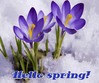Hello spring, здравствуй весна! красота природы Греции