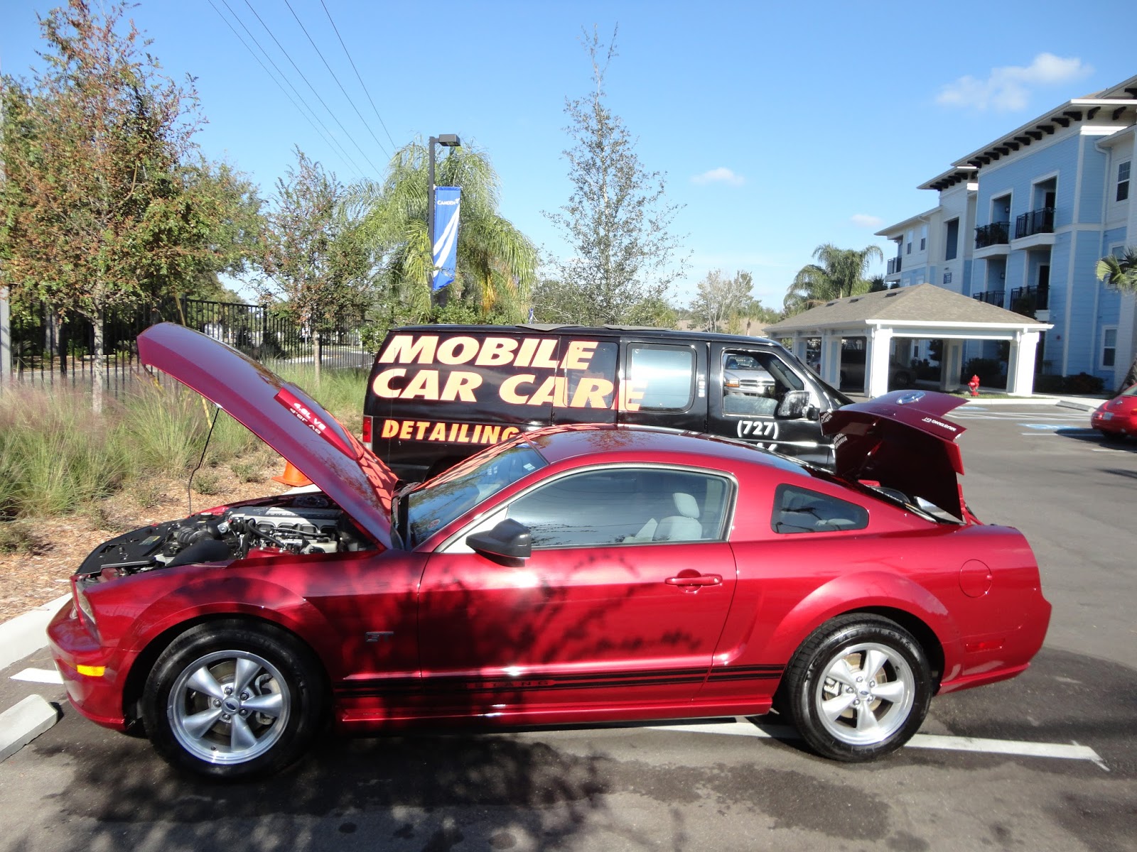 Mobile Detailing Citrus Park Florida 8134036718