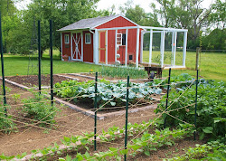 coop chicken shed coops into garden turned building yard backyard farm half built inside near ohio chickens scratch plans ohiothoughtsblog