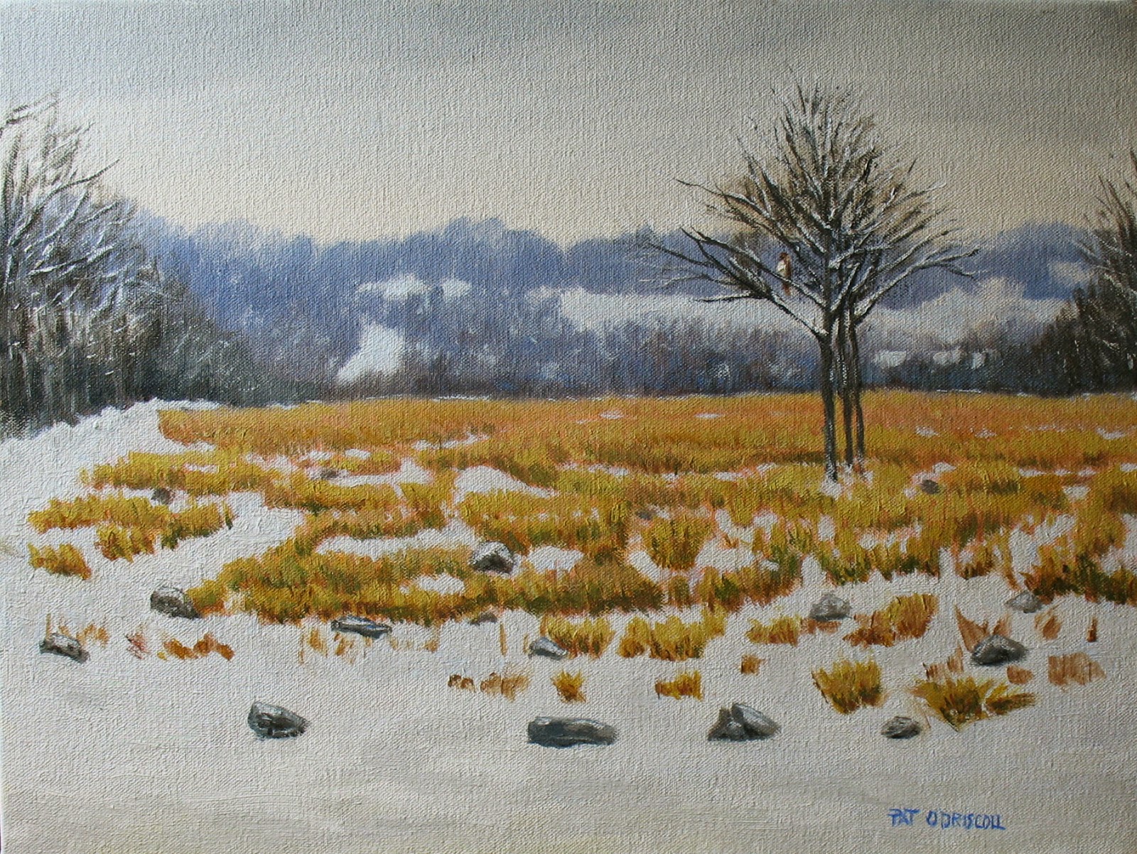 Pat O'Driscoll Fine Art Winter field, Tyler State Park,12x16 oil painting