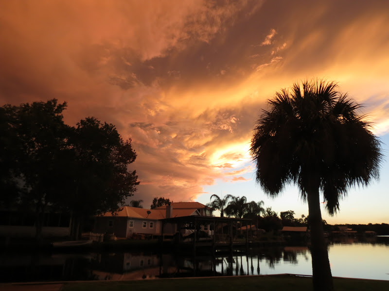BirdsEyeViews Welaka, Florida Fall Visit