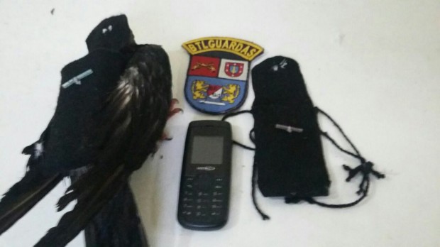 Pombos são preso entregando celular em penitenciaria do Paraná