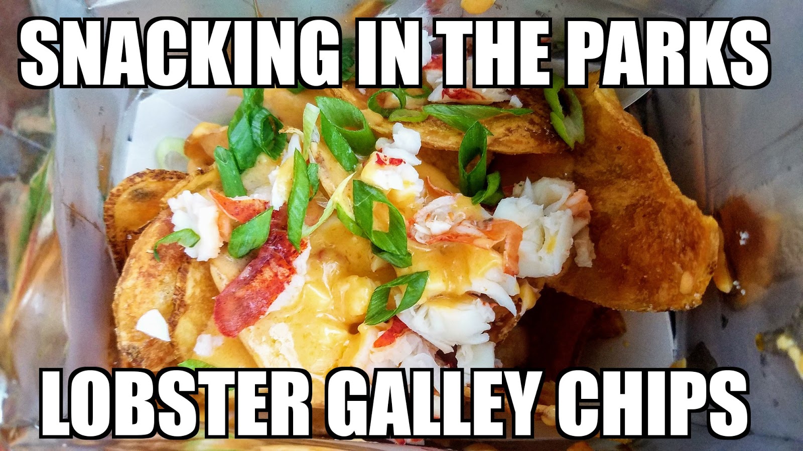 sasaki time: snacking in the parks: lobster galley chips from sasaki time: snacking in the parks: lobster galley chips from
