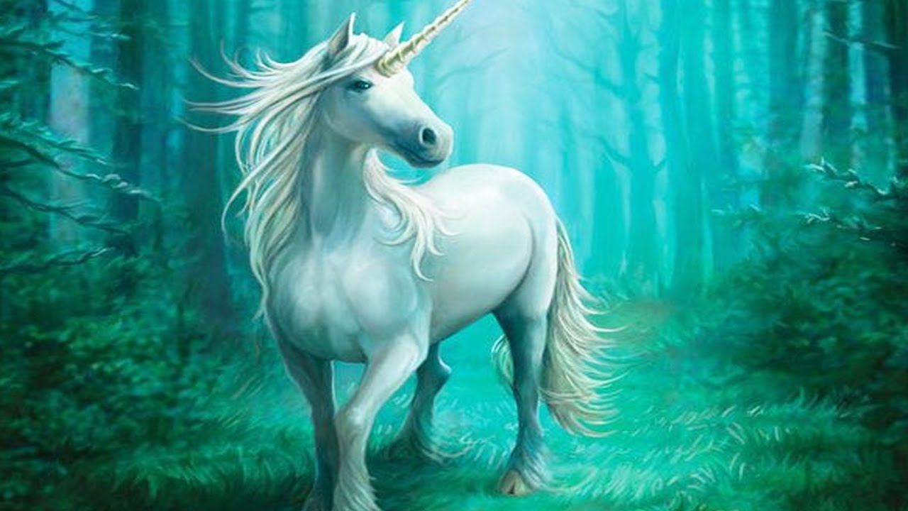  Unicorn  Messages From Your Animal Spirit Guides All  