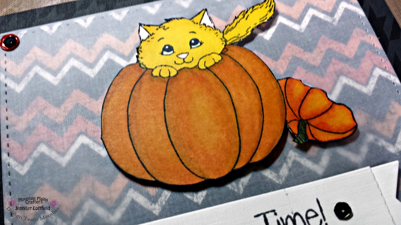 close up of colored cat in pumpkin