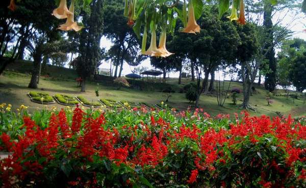 5 Foto Gambar Taman Yang Paling Indah di Indonesia Foto 