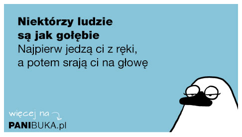 2016-02-20.jpg