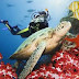 Florida Keys -The perfect place for fishing ray-finned fish and cyprinid freshwater fish.