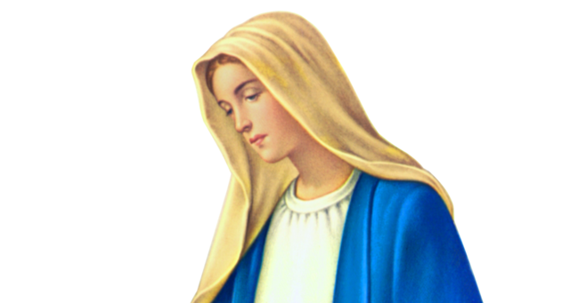 ® Gifs y Fondos Paz enla Tormenta ®: IMÁGENES DE LA VIRGEN MARÍA EN PNG