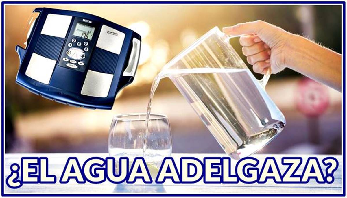 beber agua ayuda adelgazar