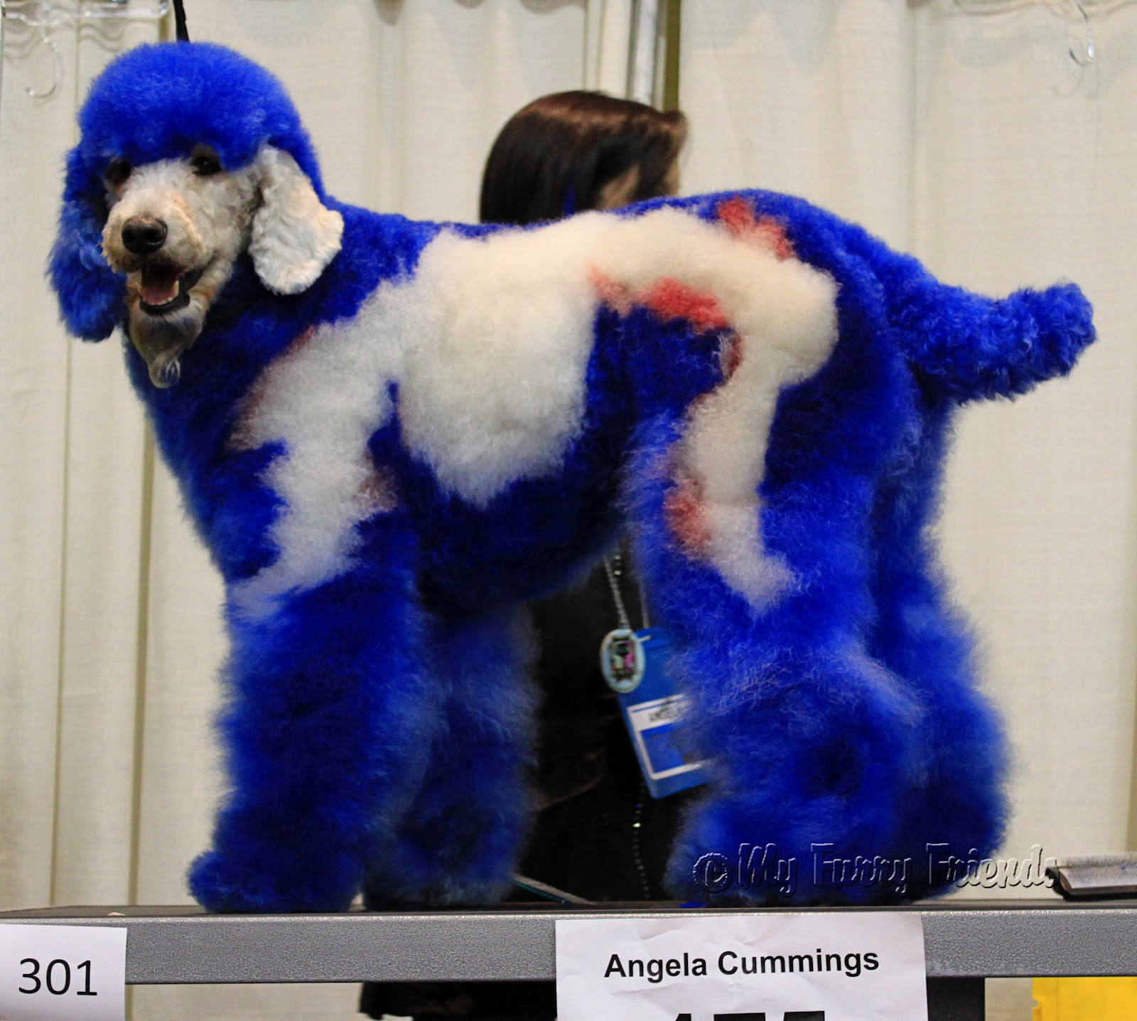 Pet Grooming The Good, The Bad, & The Furry Hershey Creative Grooming Pictures!