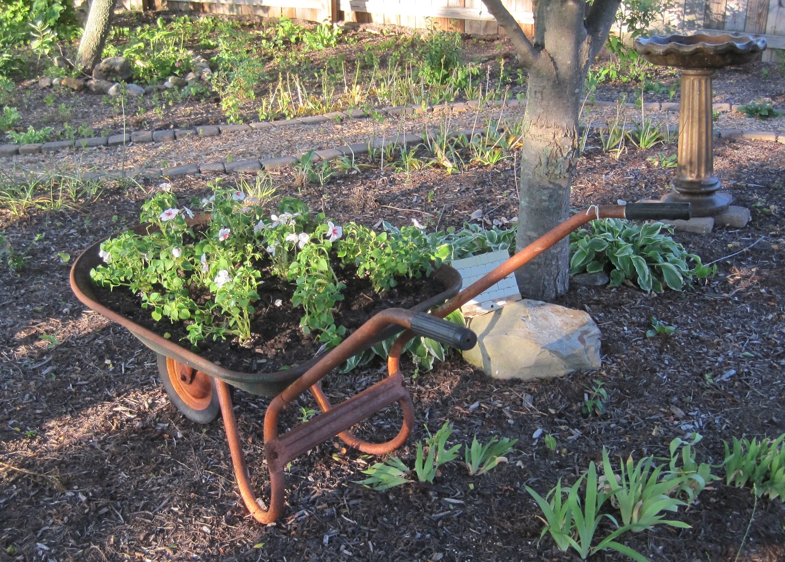 Wheelbarrow Planter Update